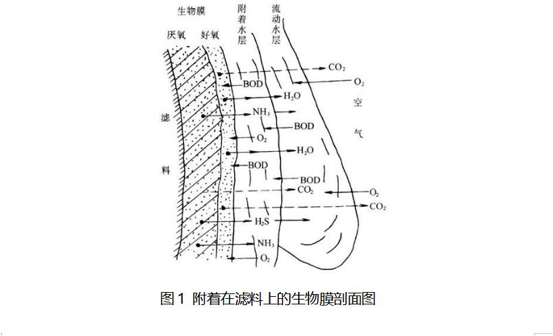 蘇州湛清環(huán)?？萍加邢薰? width=