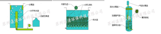 總氮超標(biāo)