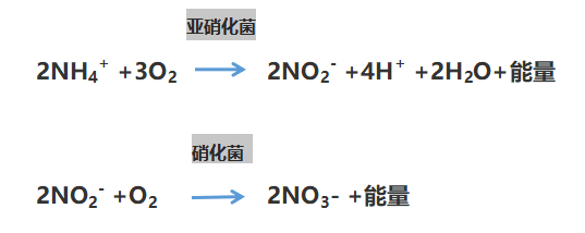 氨氮超標(biāo)
